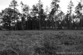 DSC_0295.JPG