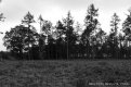 DSC_0296.JPG