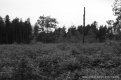 DSC_0299.JPG
