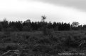 DSC_0298.JPG