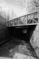 ORG_DSC05399.jpg