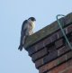 DSC05489.jpg