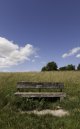 Rural lowres.jpg
