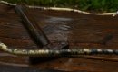 Hammer 18-140mm small.JPG