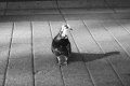 20180717172852_IMG_0057-1.jpeg