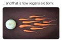 vegan.jpg