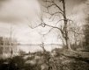 2017-3 Arcot Lake, Intrepid 4x5, TMax100, HC110 Dil B Jobo 5m, 2.jpg