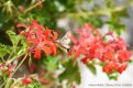DSC_0866.JPG DSC_0866.JPG