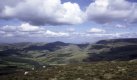 1981 Cheviots, Scanned slide, 2400 dpi, 0000.jpg
