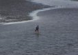 DSC07147_DxOPhLTPX.jpg