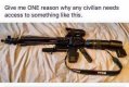 NIKON_RIFLE.jpg