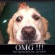 omg.jpg