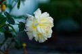 L1014041_DxO-L902-28-tp.jpg