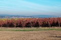 L1014053_DxO-L902-8-tp.jpg