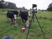 DSCF4273.jpg DSCF4273.jpg