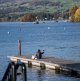 Tog Oct 18 Bowness 3-1.jpg