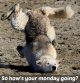 monday.jpg