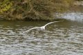 DSC_7902.jpg