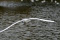 DSC_7906.jpg DSC_7906.jpg
