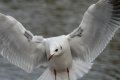 DSC_7911.jpg DSC_7911.jpg