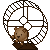 hamster wheel 2.gif