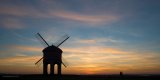 Favourites 1 2018-8977.jpg