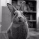 thumbnail_DSCF7814 (1).jpg