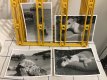 prints4.jpg