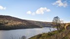 20170204-DSC_0667.jpg
