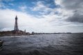 DSC_1403-12-1.jpg