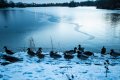 Cold-1.jpg