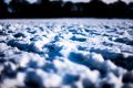 Cold-3.jpg