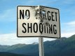 No Target Shooting.jpg