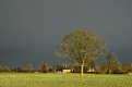 Middleton rain-02833.jpg Middleton rain-02833.jpg