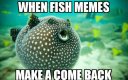 when-fish-memes-make-acome-back-me-irl-3765836.jpg