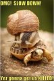 slow.jpg