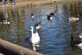 DSC_0794.JPG