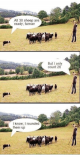 all-30-sheep-are-ready-farmer-know-i-rounded-them-5989811.png