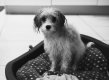 380A2FCF-8F12-48A1-9493-12120662A4DA.jpeg