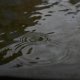 wet-1.jpg