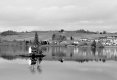 2019-02-20-0009-copy-spotted-tp-exp1.jpg