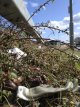 IMG_20190311_133320.jpeg