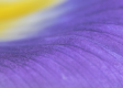 1552313237557.png 1552313237557.png