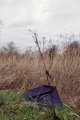 IMG_20190316_165914.jpeg