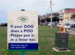 dog-does-a-poo.jpg