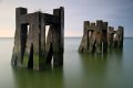rsz_gogs_birth_shoeburyness.jpg rsz_gogs_birth_shoeburyness.jpg