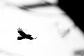 2F62FFD6-BA51-4D83-A5D3-49BD408593E1.jpeg