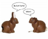 Choccie Bunny.png