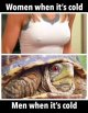 cold.jpg