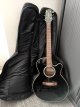 Takamine G series sm.jpg